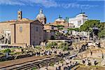 The Roman Forum is a rectangular forum (plaza) surrounded by the ruins of several important ancient government buildings at the center of the city of Rome. Curia and Santi Luca e Martina church