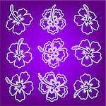 White vector hibiscus flower outline icons on violet
