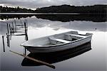 Rowboat floating on lake
