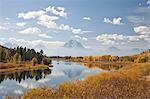 Scenic landscape with aspen trees