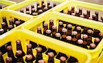 Yellow plastic crates with beer bottles in a brewery.