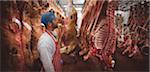 Butcher looking at the red meat hanging in storage room at butchers shop