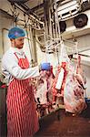 Butcher sticking barcode stickers on red meat in storage room at butchers shop