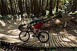 Male cyclist cycling in forest on a sunny day