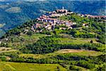 Fertile farmland in front of the medieval, hilltop town of Morovun in Istria, Croatia