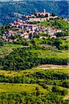 Fertile farmland in front of the medieval, hilltop town of Motovun in Istria, Croatia