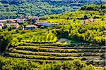 Overview of fertile farmland and the village of Brtosici (Bertossici) in the hills near Motovun in Istria, Croatia