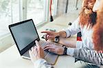 Cropped shot of male twins working on laptop in office