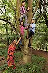 Portrait of family in forest, father and two children climbing tree
