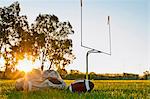 Goal posts and footballs on a football field.