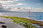 Windsurfer having fun on the ocean during a windy day.