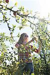 Young woman picking apples on organic farm