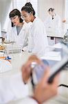 College students conducting scientific experiment in science laboratory classroom