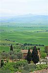 Italy, Tuscany, Toscana, Orcia Valley, Val d'Orcia, Pienza, UNESCO World Heritage