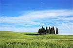 Italy, Tuscany, Toscana, Orcia Valley, Val d'Orcia, UNESCO World Heritage
