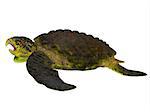 Archelon was a giant marine turtle that lived in South Dakota, USA in the Cretaceous Period.