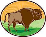 Illustration of an american bison buffalo bull viewed from the side set inside oval shape with sunburst and grass field in the background done in retro woodcut style.