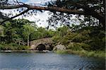 Meeting of the water: a stone bridge between Lough Leane (Lower Lake) and Upper Lake in Killarney National Park, County Kerry, Ireland, Europe