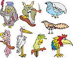 Set of miscellaneous cute funny birds. Cartoon sketches including owls, parrots, paradise bird, stork and partridge bird.