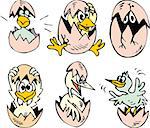 Set of cute nestlings hatching out the eggs. Comic cartoon little birds and nestlings in eggs.