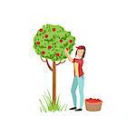 Woman Picking Up Apples From Tree Simple Childish Flat Colorful Illustration On White Background