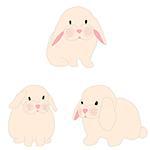 cute rabbit illustration set for baby fashion.