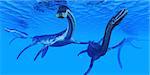 Plesiosaurus marine reptile dinosaurs swim together in Jurassic Seas to find their next prey.