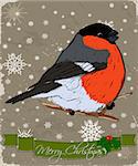 Christmas card with bullfinch. Vector illustration EPS8