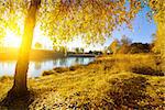 Colorful autumn on river at bright sunny morning