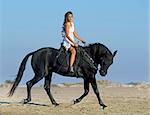 horse woman and her stallion riding on the beach
