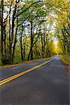 Historic Columbia River Highway at Columbia River Gorge Oregon in Fall Season