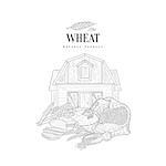 Wheat Grain, Flour And Farm Hand Drawn Realistic Sketch. Hand Drawn Detailed Contour Illustration On White Background.