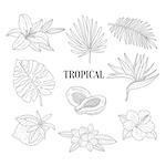 Tropical Fruits And Plants Assortment Hand Drawn Realistic Sketch. Hand Drawn Detailed Contour Illustration On White Background.