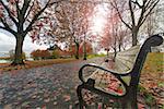 Park Benches in Waterfront Park in downtown Portland Oregon during fall season