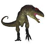 Tyrannotitan was a carnivorous theropod dinosaur the lived in Argentina in the Cretaceous Period.