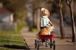 Young girl pulling her bulldog in a red wagon.