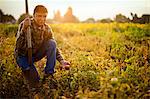 Portrait of a farmer crouching beside a tomato plant in a field of crops.