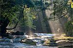 Kikuchi valley, Kikuchi city, Kumamoto prefecture, Kyushu, Japan