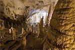 The natural show of Frasassi Caves with sharp stalactites and stalagmites, Genga, Province of Ancona, Marche, Italy, Europe