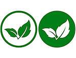 two natural green leaves icons on round button