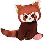 Illustration of cute red panda