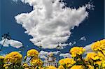 The Cathedral of Christ the Saviour or Khram Khrista Spasitelya is a cathedral in Moscow, Russia. Beautiful yellow flowers in the foreground.