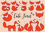 Cute foxes, little baby fox, hand drawn illustration, vector set