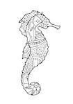 Hand drawn sketch of seahorse isolated on white background. Coloring book for adult and older children. Art vector stylized illustration.