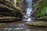 Creamy water glistens down the waterfall at Lake Falls in Matthiessen State Park in Illinois. The cascading spray provides a conducive environment to sustain the spread of soft green moss on the the  limestone canyon walls.