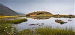 Small Tarn with Rocks in Foggy West Tatra Mountains