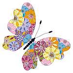 Spring bright colorful floral butterfly isolated on white, vector