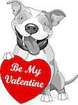 Illustration of cute pit bull dog holding heart that says be my Valentine on white background