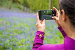 A woman takes a photo on her smartphone of a forest floor covered in bluebells in the Lake District, Cumbria, England, United Kingdom, Europe