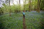 A woman walks through a forest surrounded by bluebells near Grasmere, Lake District, Cumbria, England, United Kingdom, Europe